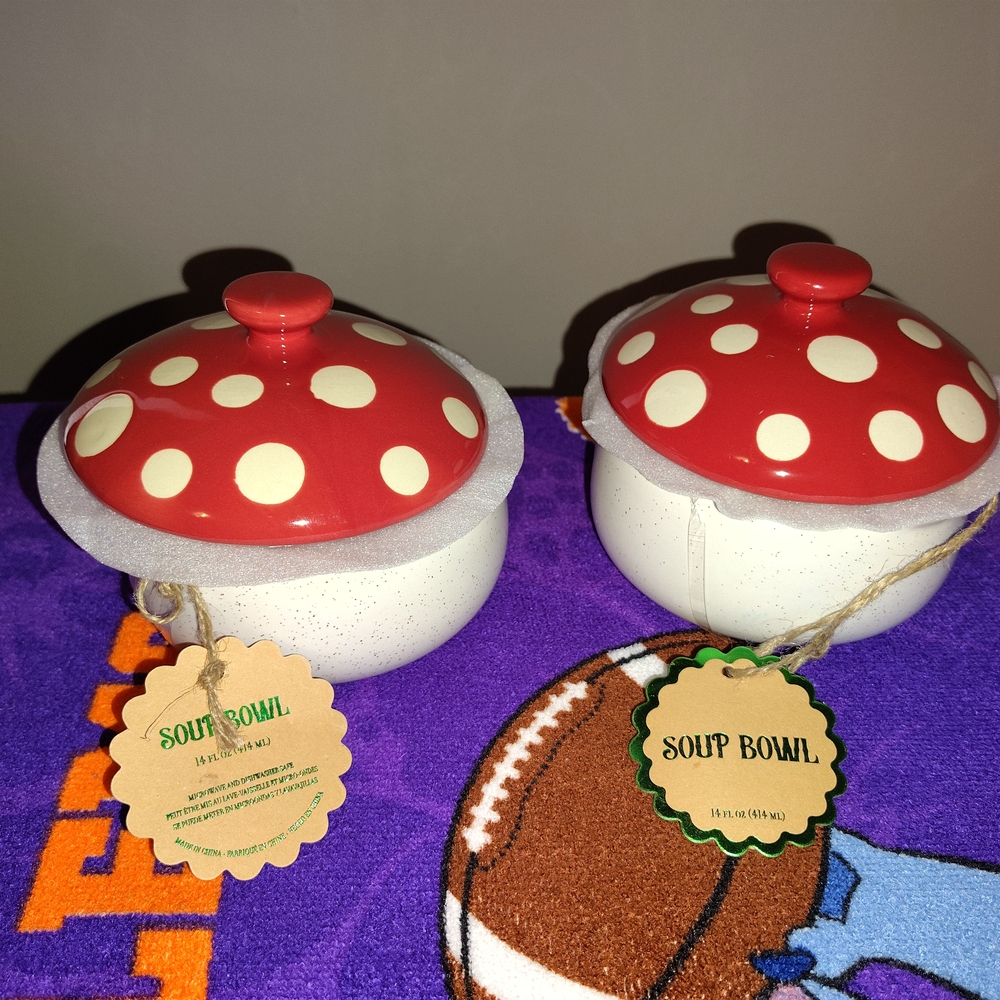 Mushroom 🍄 Soup Bowls 2 Set (NWT)